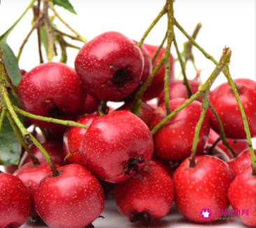 山楂丸的功效和作用