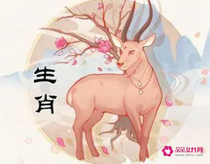 属羊的运势和财运