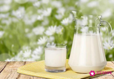 奶类的营养价值及功效