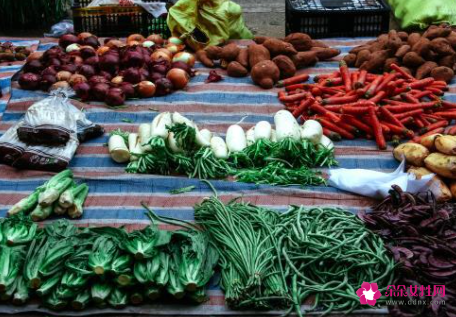 梦见给别人送菜什么预兆