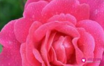 什么东西放在卧室最致癌