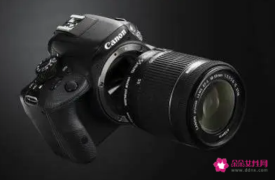 佳能EOS100D深度解析之绽放的花朵