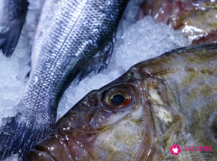 18岁女孩吃什么提高免疫力