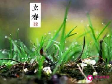 谚语立春一日下是什么