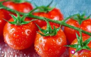 适合减肥期间的主食