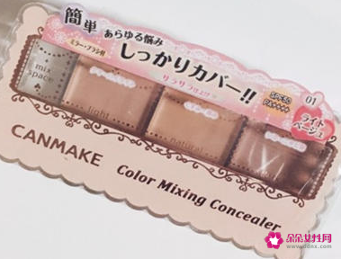 日本遮瑕膏什么牌子好