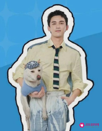 吴磊抱狗姿势冲上热搜