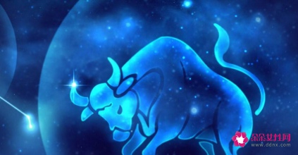 爱上金牛座女生的原因