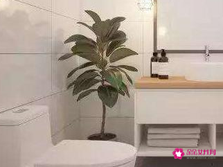 卫生间不要窗户好不好