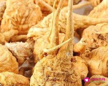 玛卡的功效与作用及禁忌