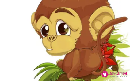 属猴为什么喜欢出轨