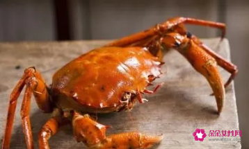 蟹黄是寒性的吗