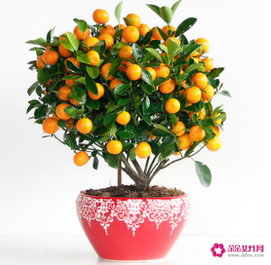 利用租房风水也能给你招财转运