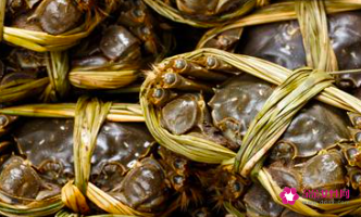 蟹黄是寒性的吗