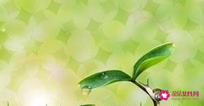 小孩子培养要注意哪几方面