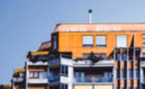 牛年属鼠的可以买房子吗