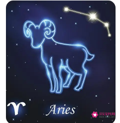 白羊男婚后的表现