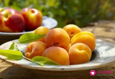 杏子的功效与作用及食用方法