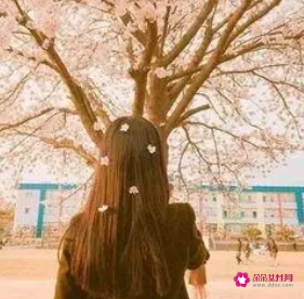 有深意且寓意好的网名女