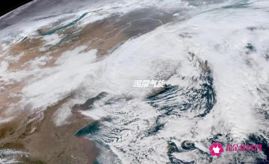 袭击东北的暴风雪有多极端详细情况