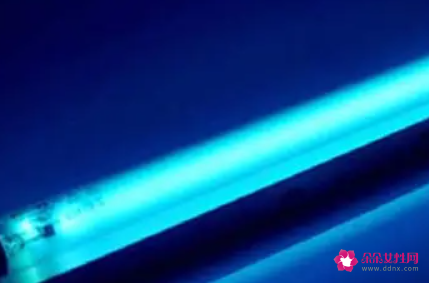 在紫外线灯下呆1分钟