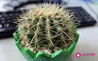 天天对着电脑怎么防辐射