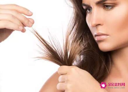 为什么头发会分叉