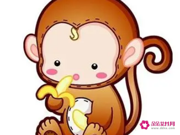 属猴为什么喜欢出轨