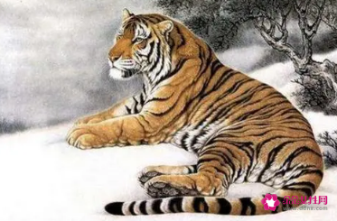 2022年感情破裂的生肖女