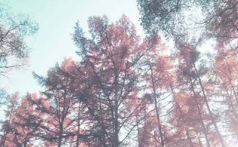 秋季育儿应注意哪些问题