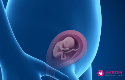 怀孕初期拉肚子怎么办