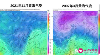 袭击东北的暴风雪有多极端详细情况