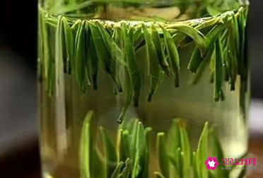 天天对着电脑怎么防辐射