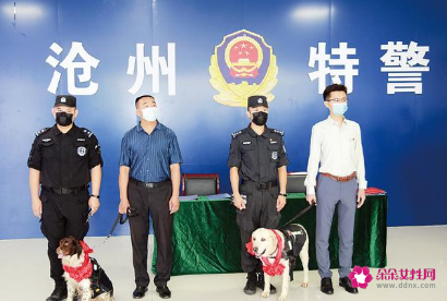 退役警犬领养网站