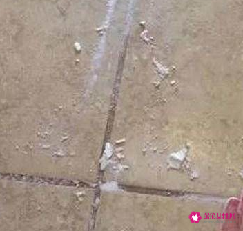 墙砖怎么清洗干净