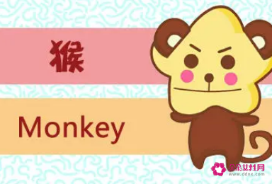 属猴为什么喜欢出轨