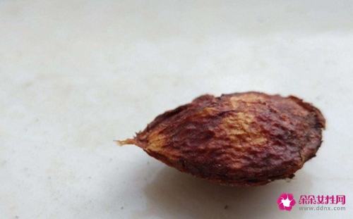 李子核的功效与作用