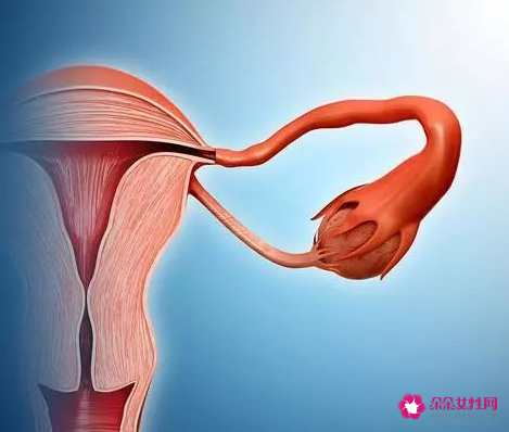 宫颈粘连五个月严重吗