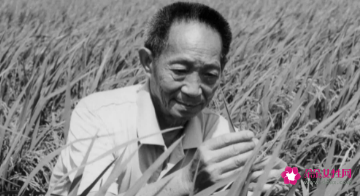 被袁隆平安葬仪式上这句话看哭了