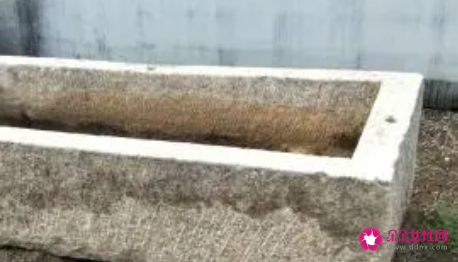 石材猪槽子放在家里风水有讲究吗