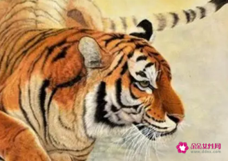 属虎的女孩佩戴虎的饰品好吗