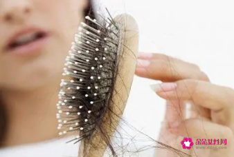 我国每6个人就有1人有脱发困扰