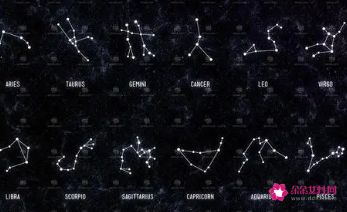 什么星座最聪明最帅