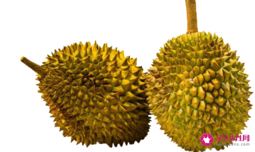 榴莲的营养价值有多高