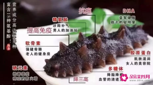 海参的功效以及作用