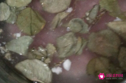 金钱草煲汤大全