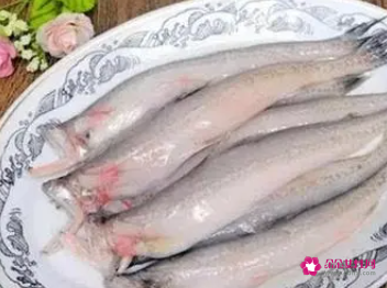 十大最好吃的海鱼