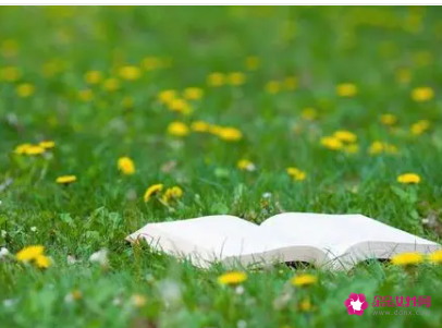 羊脂球的读后感