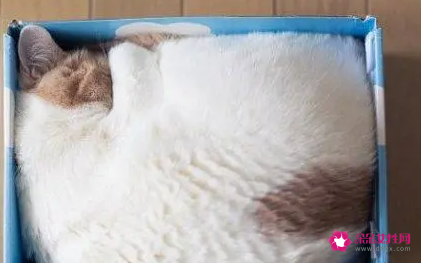 梦见自己被关进一只盒子里什么意思