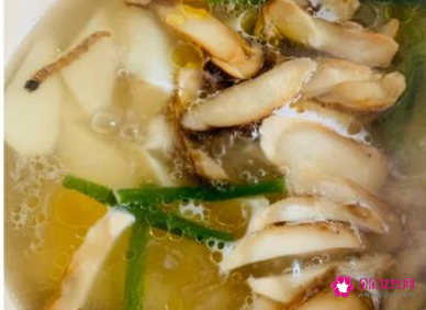 松茸煲汤最佳做法窍门